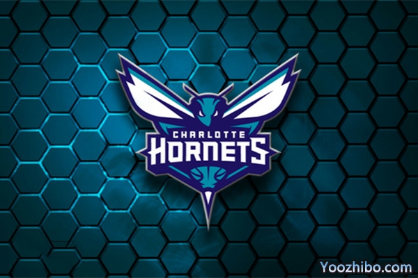 2019-2020赛季<a href=/lanqiuquanbu/hornets/ target=_blank class=infotextkey>黄蜂</a>队队徽